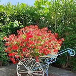 Hotell Garden Marotta