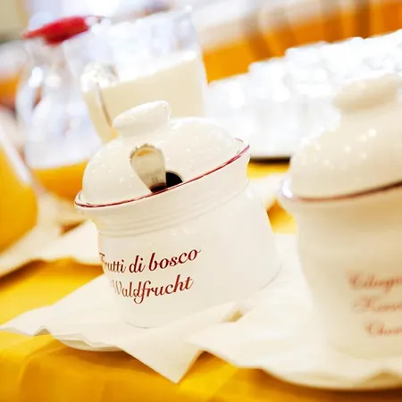 Garden Hotel 3*
