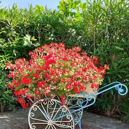 מלון Garden מארוטה