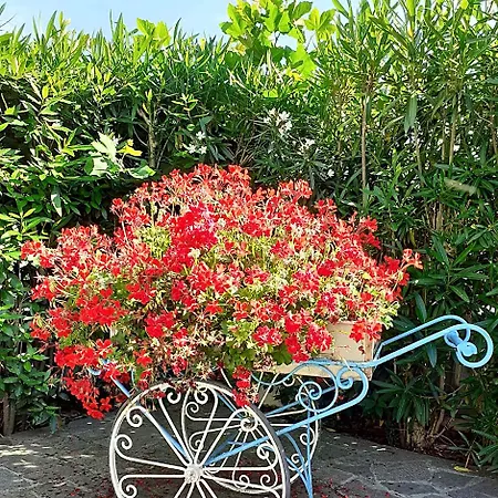 Garden 3* Маротта